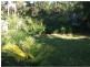 19 Crosby Hill Road, Buderim QLD 4556