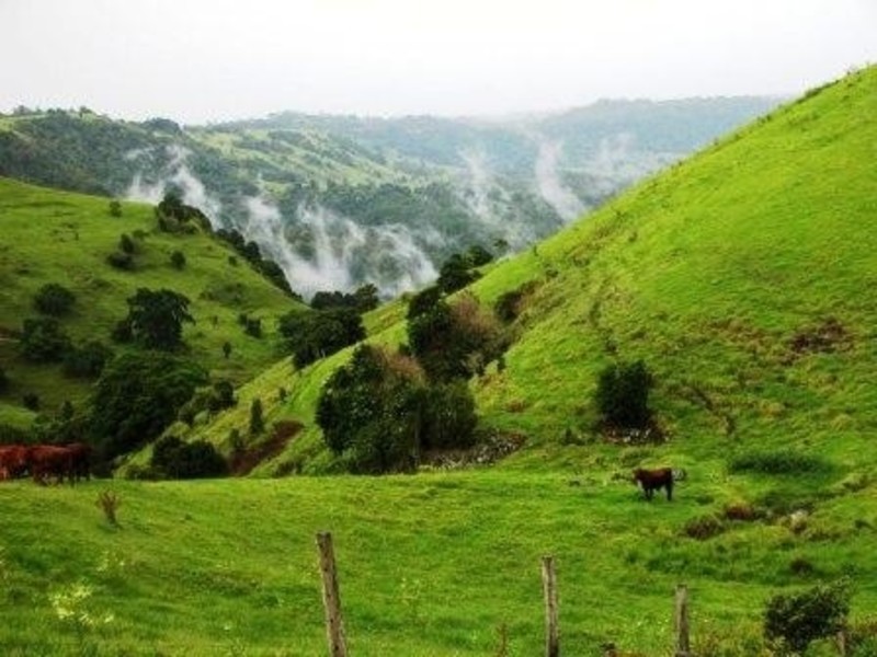 11 Hovard Road, Maleny QLD 4552