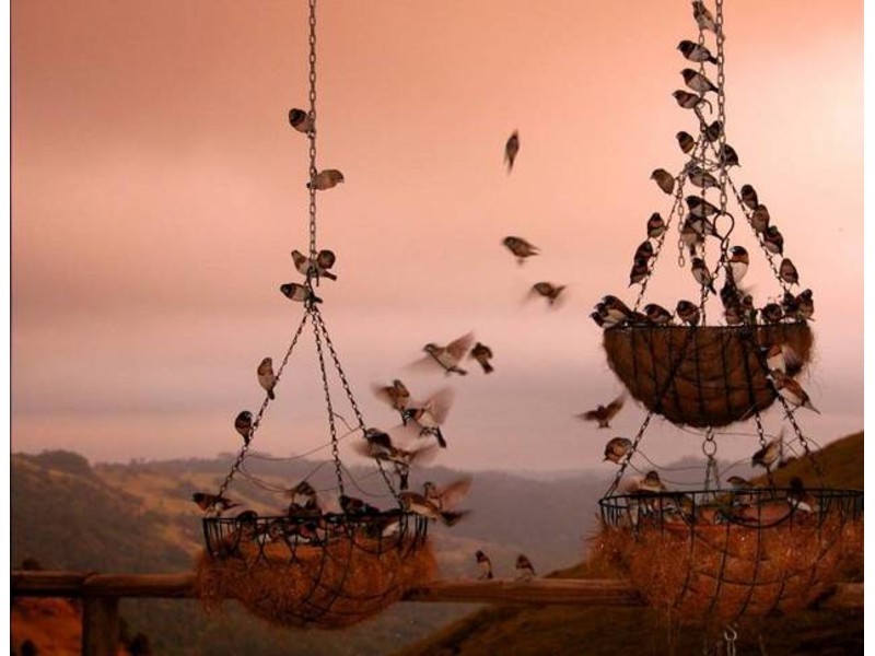 11 Hovard Road, Maleny QLD 4552