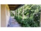 Mooloolah Valley QLD 4553