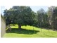 Mooloolah Valley QLD 4553