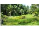 Mooloolah Valley QLD 4553