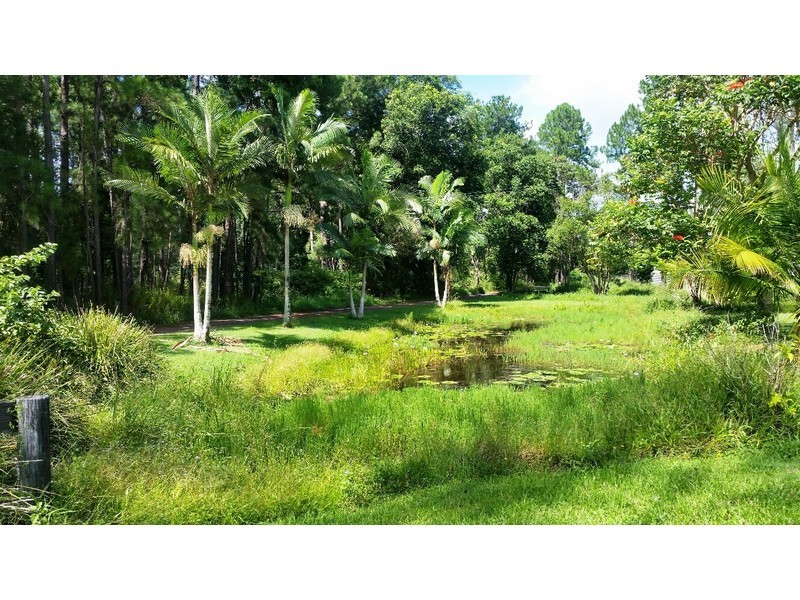 Mooloolah Valley QLD 4553
