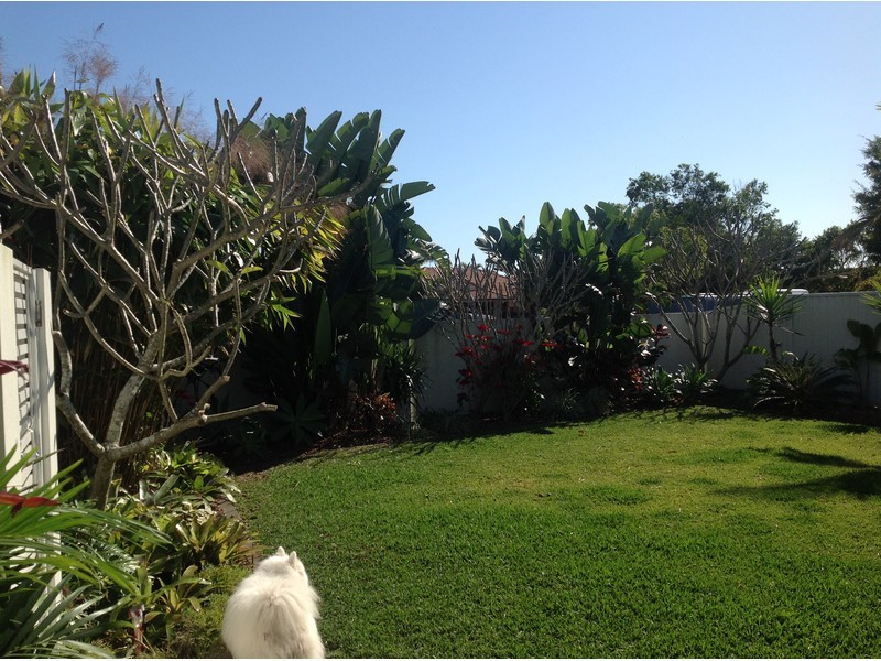 60 Albany Street, Sippy Downs QLD 4556