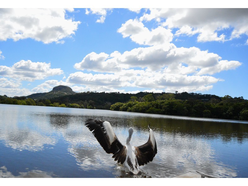 101 Yandina Bli Bli Road, Yandina QLD 4561