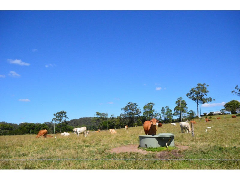 101 Yandina Bli Bli Road, Yandina QLD 4561