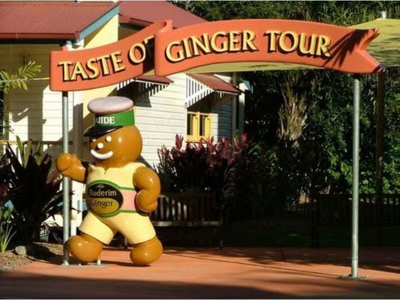 101 Yandina Bli Bli Road, Yandina QLD 4561