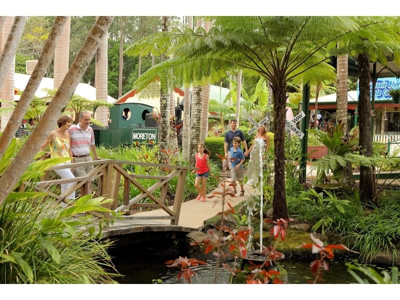 101 Yandina Bli Bli Road, Yandina QLD 4561