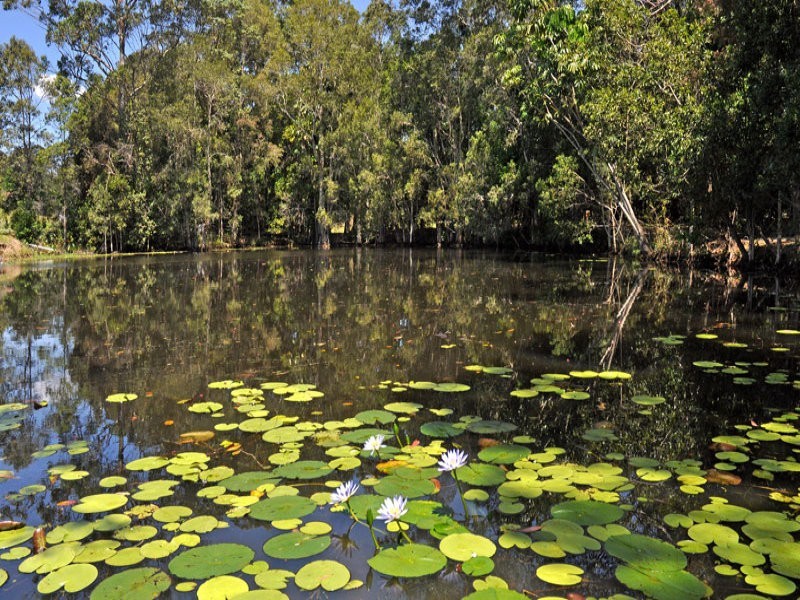 16 Ferntree Creek Road, Kulangoor QLD 4560