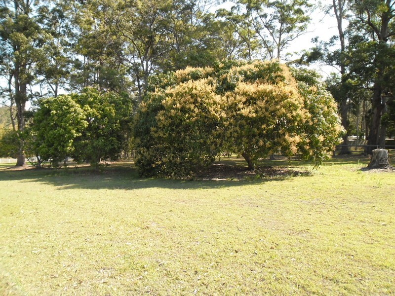 15 Hamilton Close, Mooloolah Valley QLD 4553