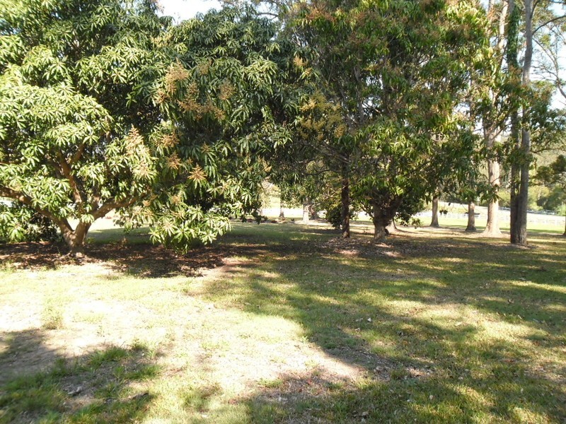 15 Hamilton Close, Mooloolah Valley QLD 4553