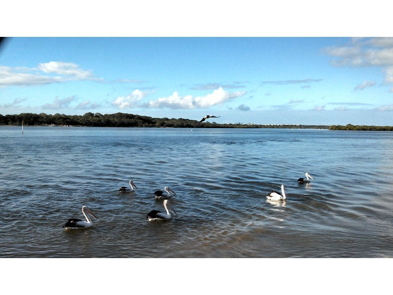 4/18 Maroochy Waters Drive, Maroochydore QLD 4558