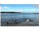Maroochydore QLD 4558