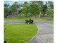 11 Davis Street, Sippy Downs QLD 4556