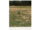 Lot 18,  Jennifer Court, Mackay QLD 4740