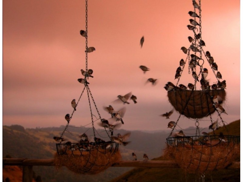 11 Hovard Road, Maleny QLD 4552