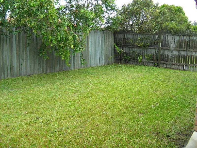 59 Statesman Circuit, Sippy Downs QLD 4556