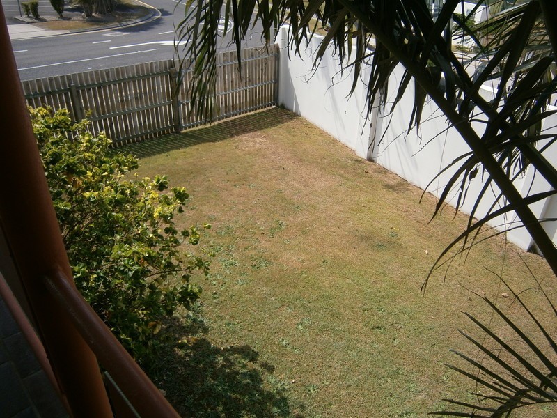 3 Mungar Street, Maroochydore QLD 4558