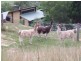 3229 Mount Mee Road, Dayboro QLD 4521