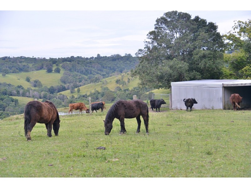 532 Black Mountain Road, Black Mountain QLD 4563