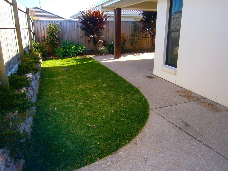 29 Tibouchina Street, Mountain Creek QLD 4557