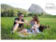 41 Poole Road, Glass House Mountains QLD 4518