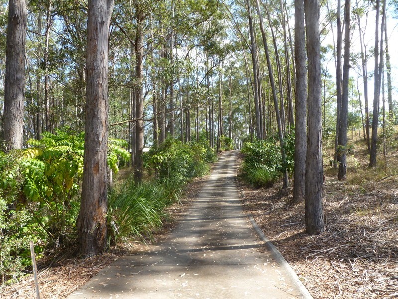 108 Chevallum Road, Palmwoods QLD 4555