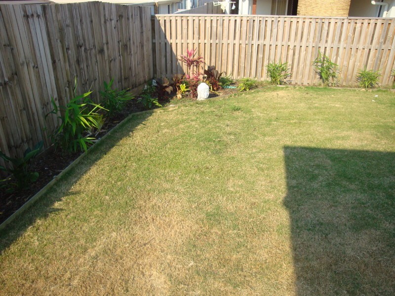 39 Tibouchina Street, Mountain Creek QLD 4557