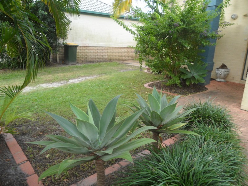 51 Bernheid Crescent, Sippy Downs QLD 4556