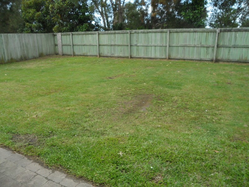 51 Bernheid Crescent, Sippy Downs QLD 4556