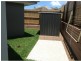 16A Cypress Avenue, Peregian Springs QLD 4573