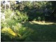 19 Crosby Hill Road, Buderim QLD 4556