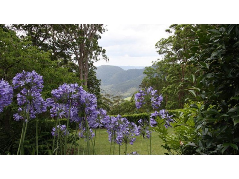 52 Mapleton Falls Road, Mapleton QLD 4560