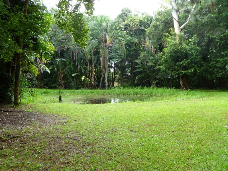 65 Eudlo Road, Mooloolah Valley QLD 4553