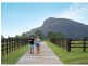Lot 77, 43 Poole Road, Glass House Mountains QLD 4518
