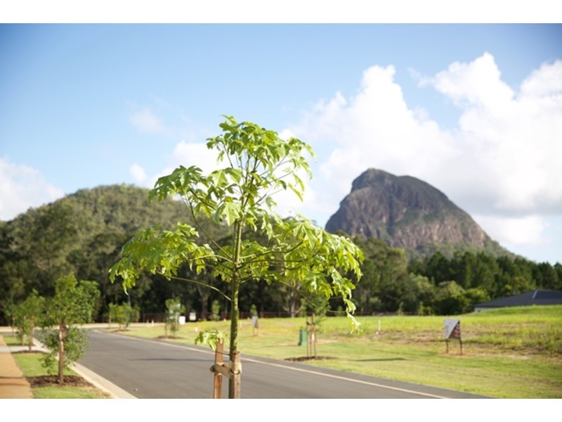 Lot 77, 43 Poole Road, Glass House Mountains QLD 4518