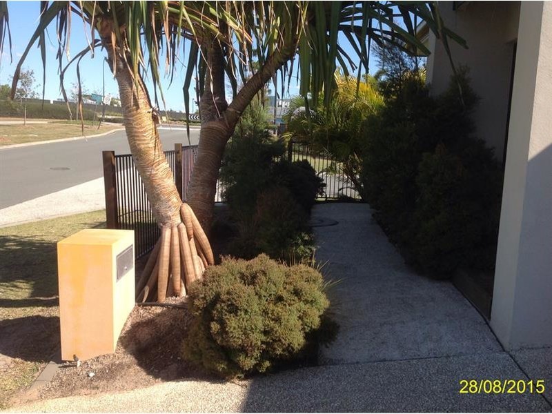 37 Williams Crescent, North Lakes QLD 4509