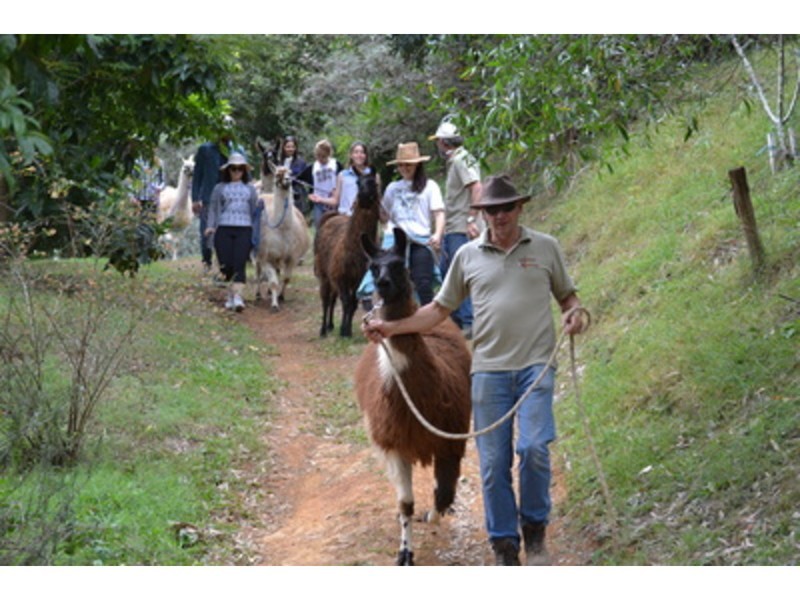 3229 Mount Mee Road, Dayboro QLD 4521