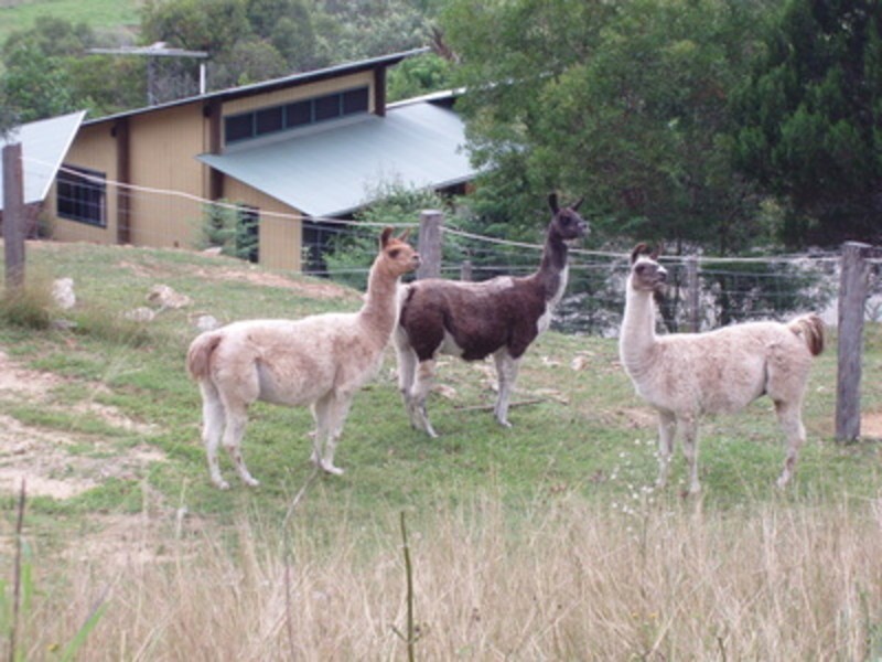 3229 Mount Mee Road, Dayboro QLD 4521