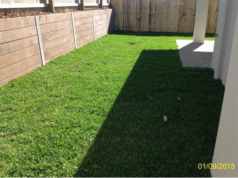 8 Silky Oak Court, Peregian Springs QLD 4573