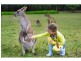 Lot 4, 11 Tytherleigh Avenue, Landsborough QLD 4550