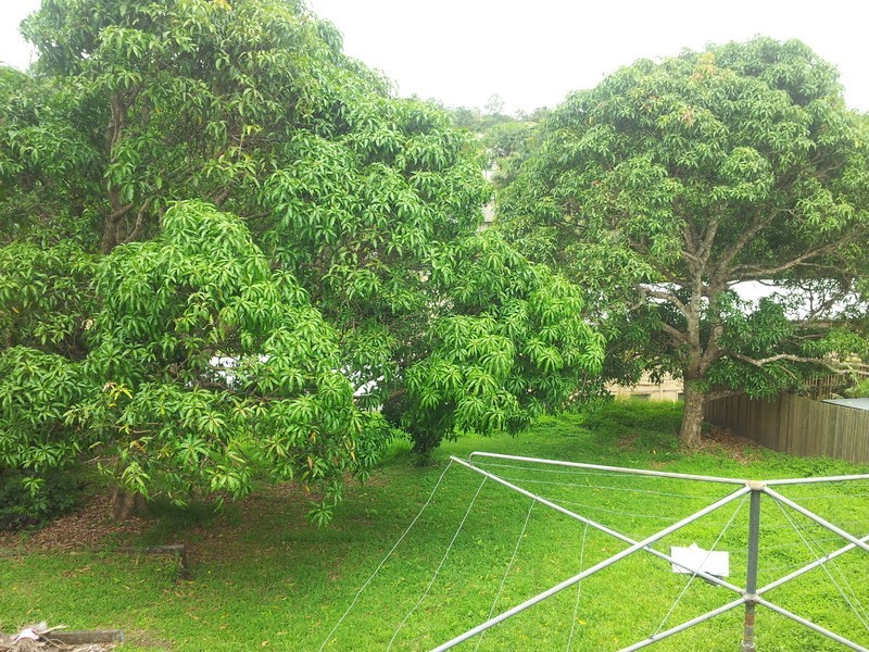 24 Hospital Road, Nambour QLD 4560