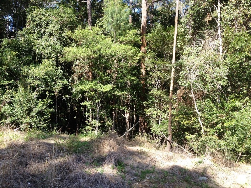 212 Mons School Road, Buderim QLD 4556