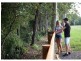 Lot 72, 43 Poole Road, Glass House Mountains QLD 4518