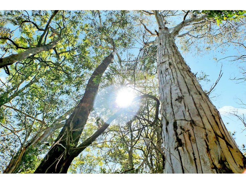 Lot 72, 43 Poole Road, Glass House Mountains QLD 4518