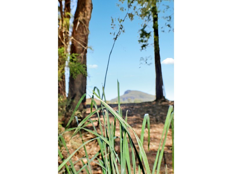 Lot 75,  Poole Road, Glass House Mountains QLD 4518