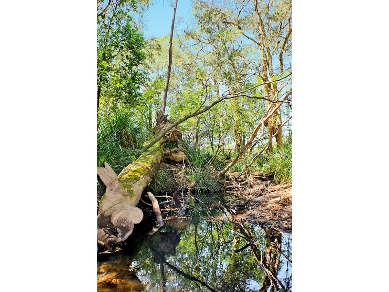 Lot 75,  Poole Road, Glass House Mountains QLD 4518