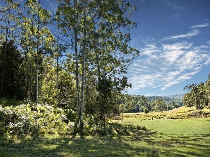 L20,73,1 Yarramalong Road, Wyong Creek NSW 2259