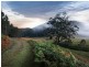 L20,73,1 Yarramalong Road, Wyong Creek NSW 2259