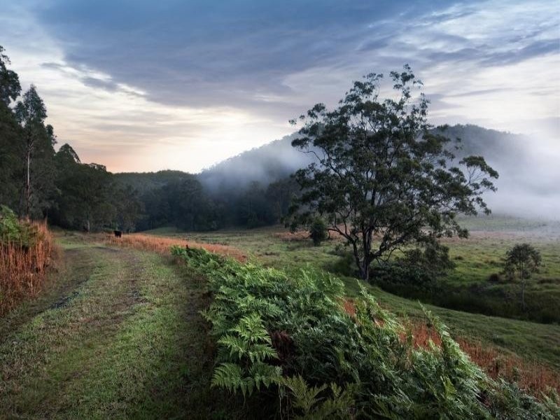 L20,73,1 Yarramalong Road, Wyong Creek NSW 2259